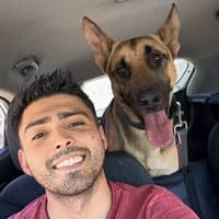 Sitterprofilbild: Luis P.