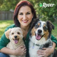 Sitter Profile Image: Jamie D.