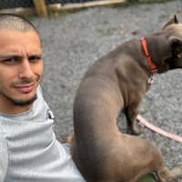 Sitter Profile Image: Ryan B.