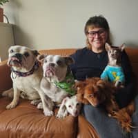 Sitter Profile Image: Zev S.