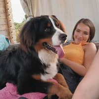 Photo de profil du pet sitter : Shannon P.