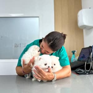 Sitter Profile Image: Maria Jose B.
