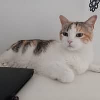 Foto del cuidador: Maria Yolanda B.