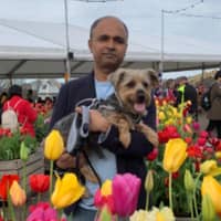 Sitter Profile Image: Prabhuswami k.