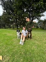 Photo de profil du pet sitter : Sofia A.