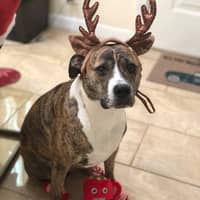 Sitter Profile Image: Kareema A.