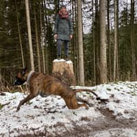 Sitterprofilbild: Anne F.