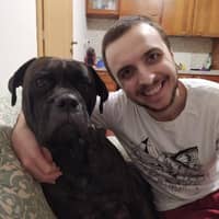 Immagine del profilo del sitter: Matteo B.