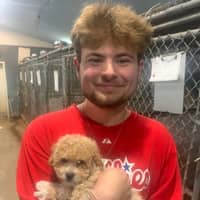 Sitter Profile Image: Connor B.