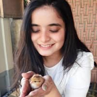 Photo de profil du pet sitter : Moksha C.