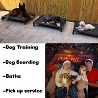 Sitter Profile Image: Alexander C.