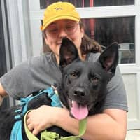 Sitter Profile Image: Adriana S.