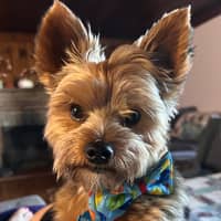 Sitter Profile Image: Jacqueline C.