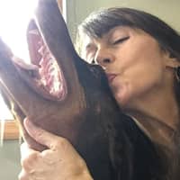 Sitter Profile Image: Deborah M.