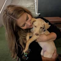 Sitter Profile Image: Krissy B.