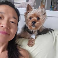 Sitter Profile Image: Xiaoxue H.