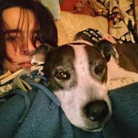 Sitter Profile Image: Eland B.