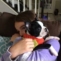 Sitter Profile Image: Avery P.