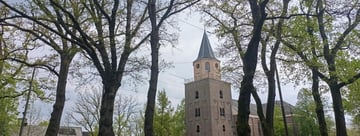 Image 4