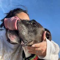 Sitter Profile Image: Kaeli L.