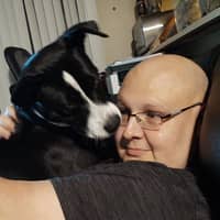 Sitter Profile Image: James H.