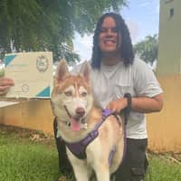 Sitter Profile Image: Ian L.