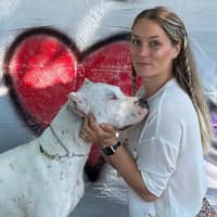 Sitter Profile Image: Allison C.