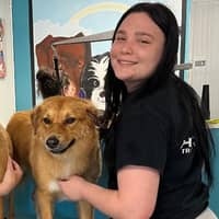 Sitter Profile Image: Abigail K.