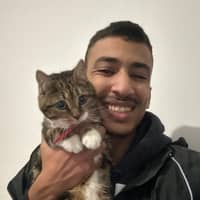 Photo de profil du pet sitter : Amir E.