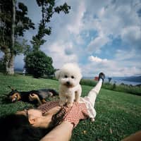 Sitter Profile Image: Jingchun J.