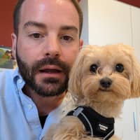 Immagine del profilo del sitter: Alessandro G.