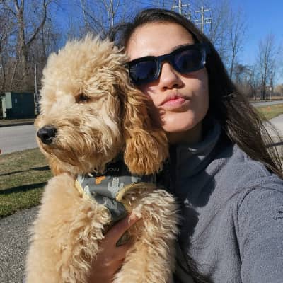 Grand haven pet best sale resort