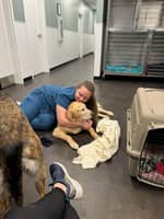 Sitter Profile Image: Brianna B.