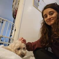 Sitter Profile Image: Deborah F.