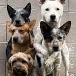 Sitter Profile Image: Ck B.