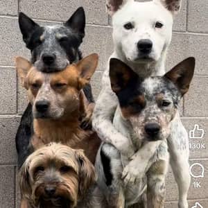 Sitter Profile Image: Ck B.