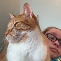 Sitter Profile Image: Emily H.