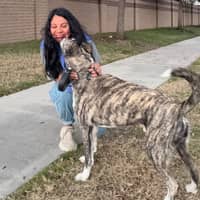 Sitter Profile Image: Gladys G.