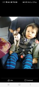Image 0