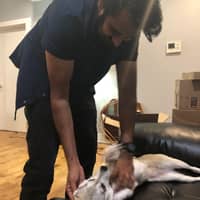 Sitter Profile Image: Jesal