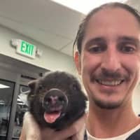 Sitter Profile Image: Noah M.