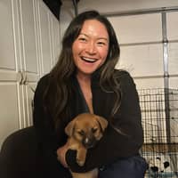 Sitter Profile Image: Hannah Y.