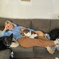 Sitter Profile Image: Andrea B.