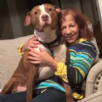 Sitter Profile Image: Jemeli N.