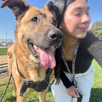 Sitter Profile Image: Ruth Z.