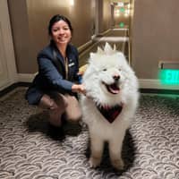 Sitter Profile Image: Monica N.