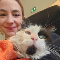 Photo de profil du pet sitter : steffi l.