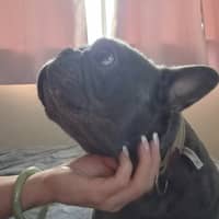 Sitter Profile Image: Rachel G.