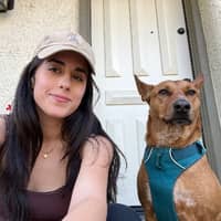 Sitter Profile Image: Tara A.