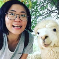 Sitter Profile Image: Wei Ching L.